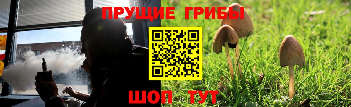 Псилоцибиновые грибы Magic Shrooms  Псилоцибиновые грибы Psilocybine cubensis  Вход с VPN  Ревда 